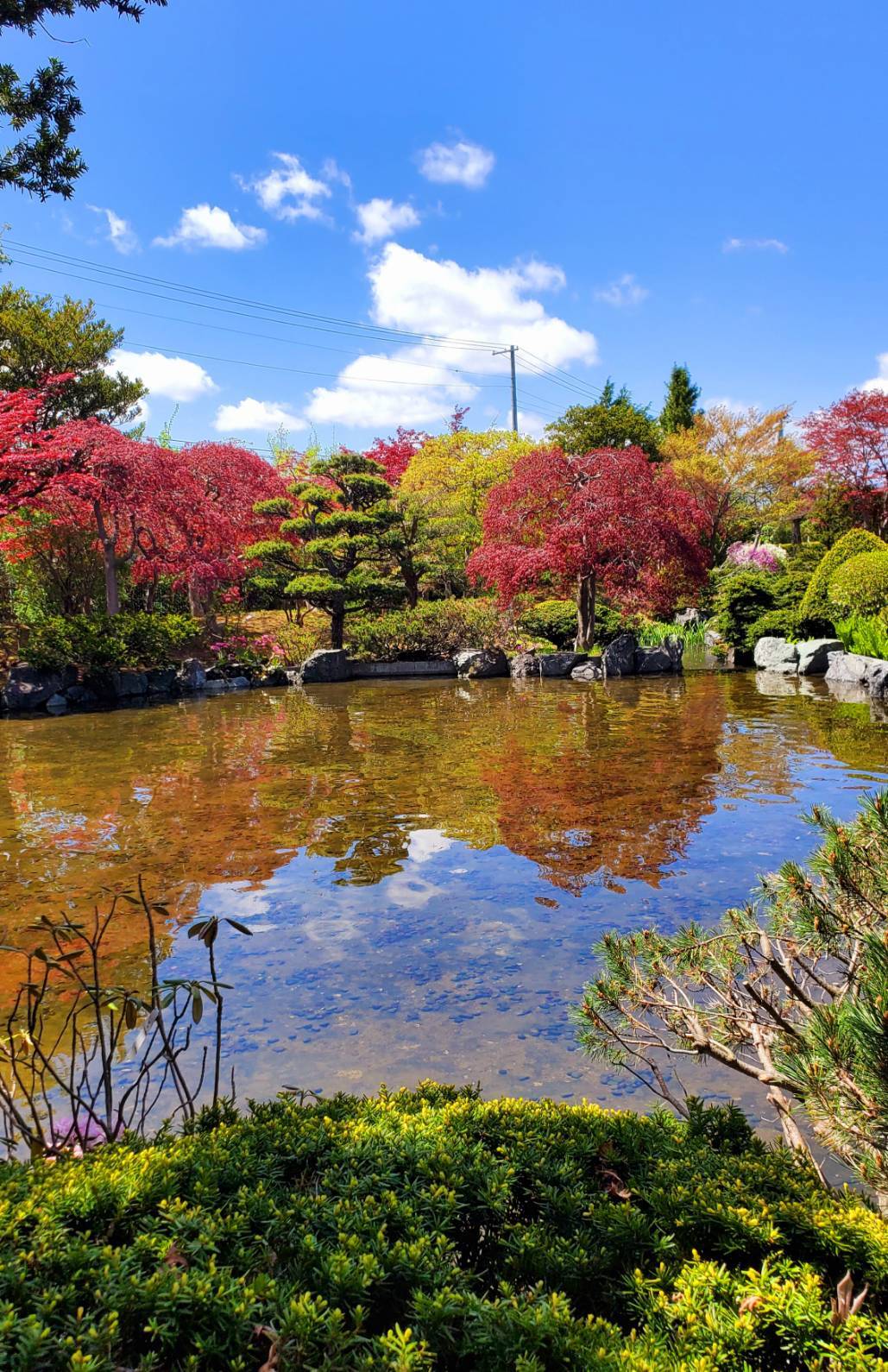 北海道庁赤れんが庁舎